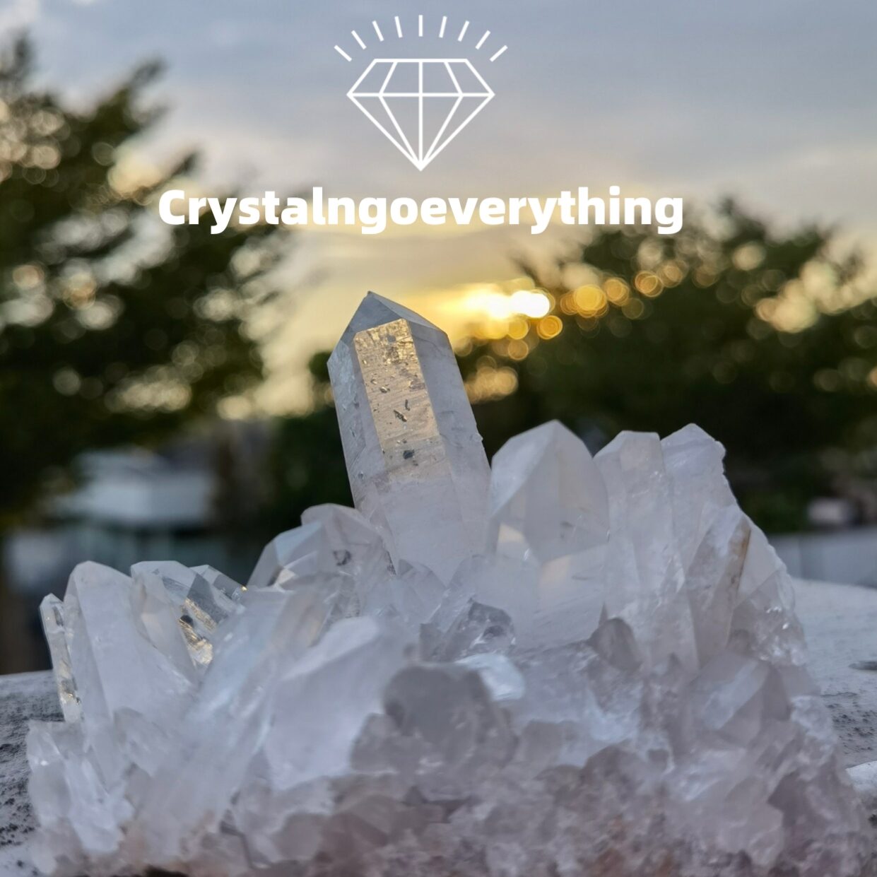 crystalngoeverything.com